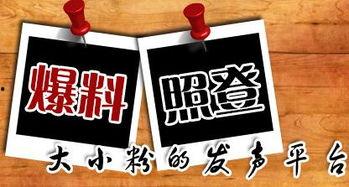 新闻爆料平台陕西,聚焦本土热点，揭示社会现象