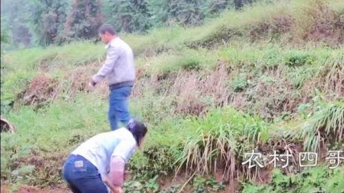 最新爆料农村四哥  第3张